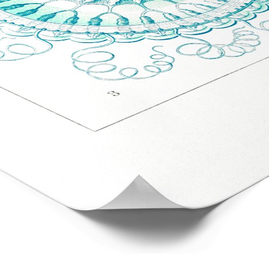 illustratie kwallen poster (Hoek)