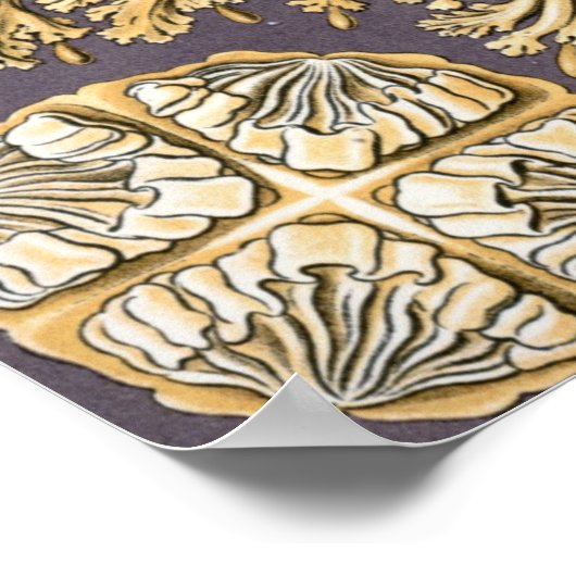  illustratie kwallen poster (Hoek)