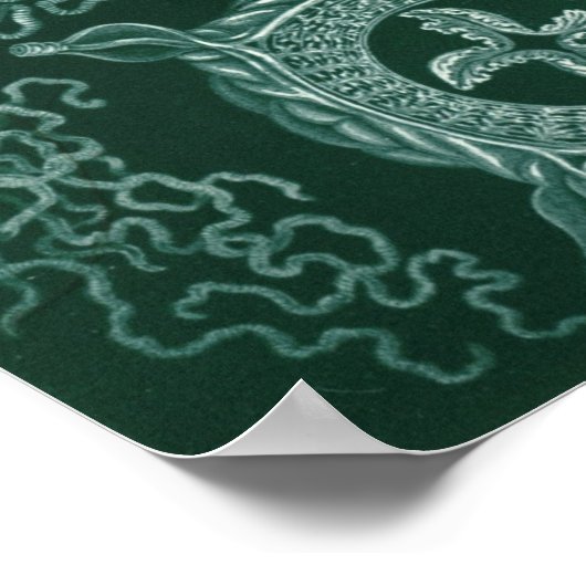  illustratie kwallen poster (Hoek)