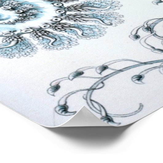  illustratie kwallen poster (Hoek)