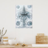  illustratie kwallen poster (Keuken)