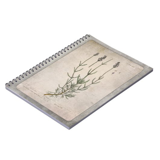 illustratie Lavender met structuur Notitieboek (Linkerzijde)