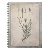 illustratie Lavender met structuur Notitieboek (Voorkant)