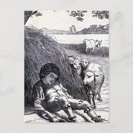  illustratie "Little Boy Blue" Briefkaart (Voorkant)