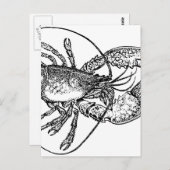  illustratie Lobster Briefkaart (Voorkant / Achterkant)