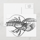 illustratie Lobster Briefkaart (Voorkant / Achterkant)