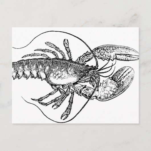 illustratie Lobster Briefkaart (Voorkant)