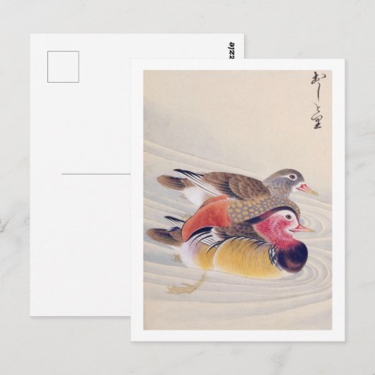  illustratie: Mandarijn eend Briefkaart (Voorkant / Achterkant)