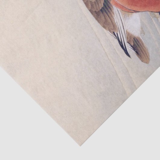  illustratie: Mandarijn eend Tissuepapier (Detail)