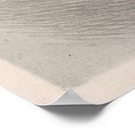 Illustratie  Marcus Aurelius beeld (1889) Poster (Hoek)