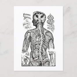  illustratie: Menselijk Anatomiediagram Briefkaart