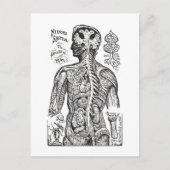  illustratie: Menselijk Anatomiediagram Briefkaart (Voorkant)