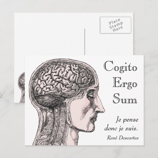 Illustratie menselijk brein Cogito Ergo Sum Briefkaart (Voorkant / Achterkant)