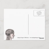 Illustratie menselijk brein Cogito Ergo Sum Briefkaart (Achterkant)