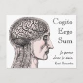 Illustratie menselijk brein Cogito Ergo Sum Briefkaart (Voorkant)