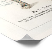 Illustratie Menselijk Systeem Poster (Hoek)