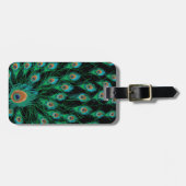 Illustratie met Peacock-veren op zwart Bagagelabel (Voorkant horizontaal)
