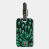 Illustratie met Peacock-veren op zwart Bagagelabel (Voorkant verticaal)