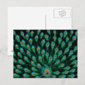 Illustratie met Peacock-veren op zwart Briefkaart (Voorkant / Achterkant)