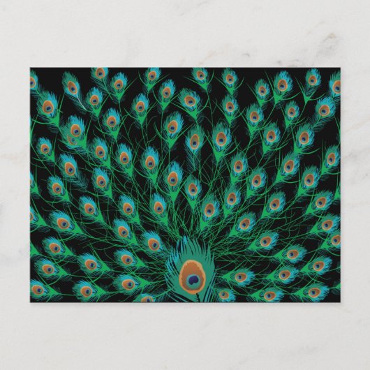 Illustratie met Peacock-veren op zwart Briefkaart (Voorkant)