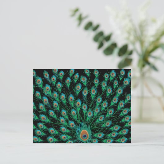 Illustratie met Peacock-veren op zwart Briefkaart (Staand voorkant)