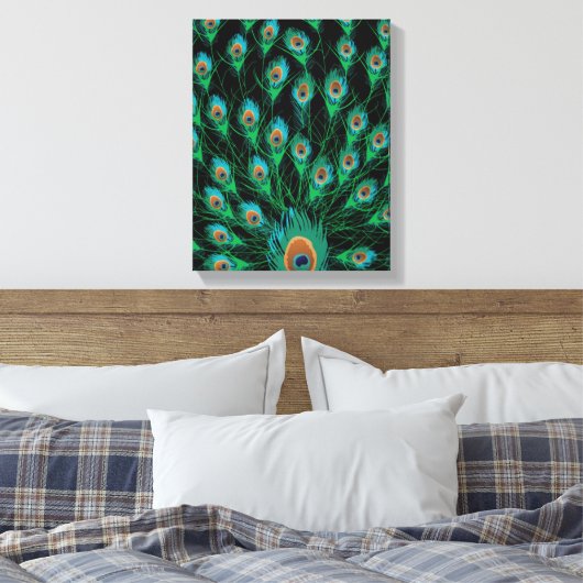 Illustratie met Peacock-veren op zwart Canvas Afdruk (Insitu (Slaapkamer))