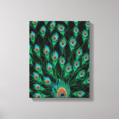 Illustratie met Peacock-veren op zwart Canvas Afdruk (Voorkant)