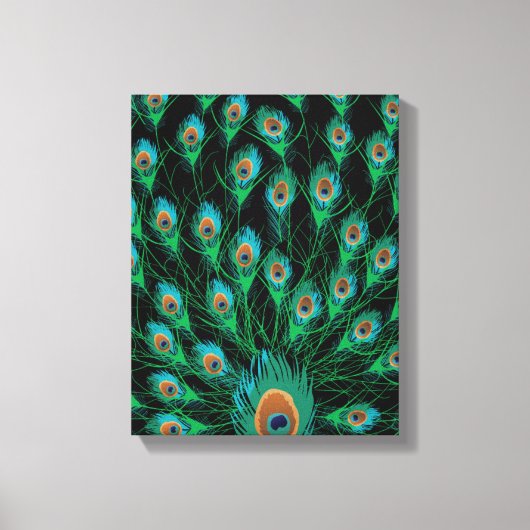 Illustratie met Peacock-veren op zwart Canvas Afdruk (Voorkant)