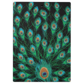 Illustratie met Peacock-veren op zwart Klembord (Achterkant)