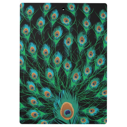 Illustratie met Peacock-veren op zwart Klembord (Achterkant)