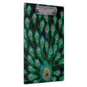 Illustratie met Peacock-veren op zwart Klembord (Rechts)