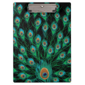 Illustratie met Peacock-veren op zwart Klembord (Voorkant)