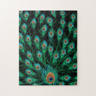 Illustratie met Peacock-veren op zwart Legpuzzel