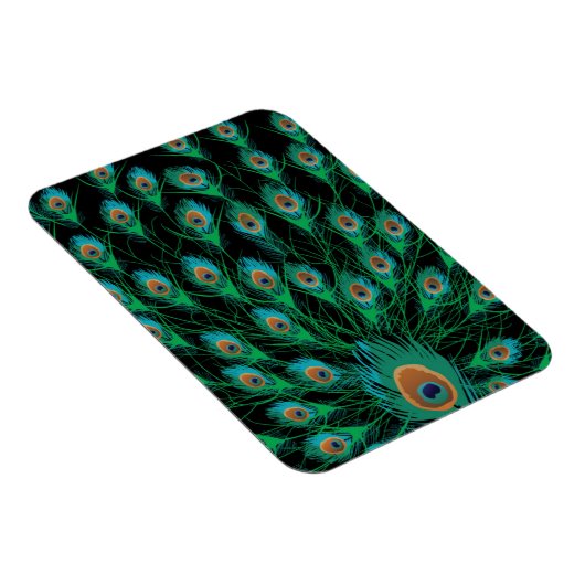 Illustratie met Peacock-veren op zwart Magneet (Rechterzijde)