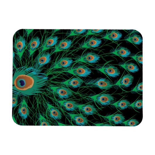 Illustratie met Peacock-veren op zwart Magneet (Horizontaal)