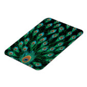 Illustratie met Peacock-veren op zwart Magneet (Linkerzijde)