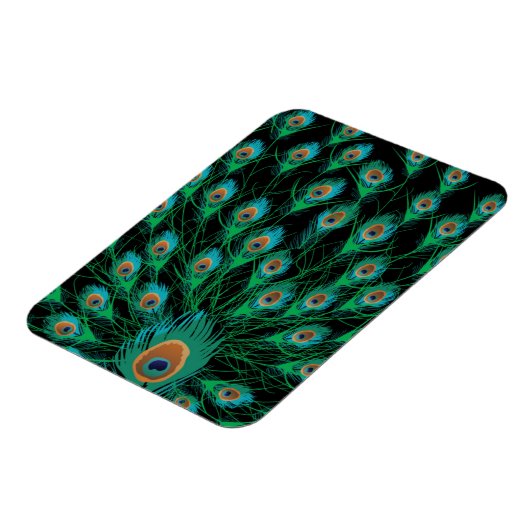 Illustratie met Peacock-veren op zwart Magneet (Linkerzijde)
