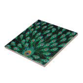 Illustratie met Peacock-veren op zwart Tegeltje (Zijkant)