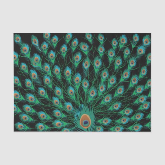 Illustratie met Peacock-veren op zwart Tissuepapier (Voorkant)