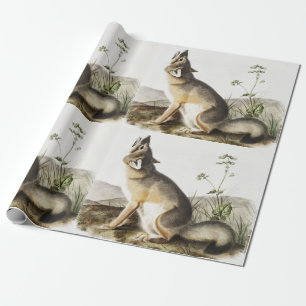 Illustratie met wift Fox (Vulpes velox) Cadeaupapier