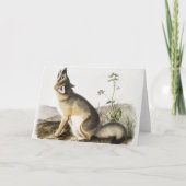 Illustratie met wift Fox (Vulpes velox) Kaart (Voorkant)