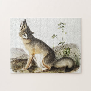 Illustratie met wift Fox (Vulpes velox) Legpuzzel