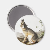 Illustratie met wift Fox (Vulpes velox) Magneet (Voorkant / Achterkant)