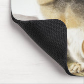 Illustratie met wift Fox (Vulpes velox) Muismat (Hoek)