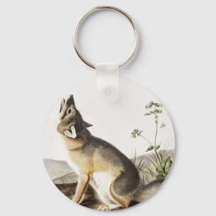 Illustratie met wift Fox (Vulpes velox) Sleutelhanger
