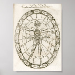 Illustratie microkosmos poster