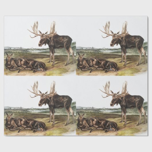 Illustratie Moose Deer (Servus alces) Cadeaupapier (Vlak)