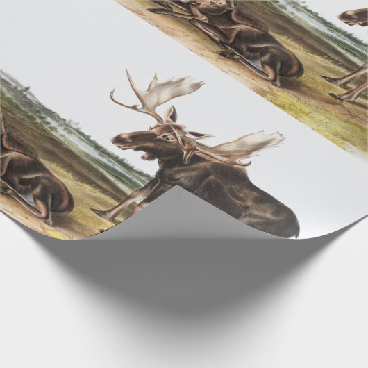 Illustratie Moose Deer (Servus alces) Cadeaupapier (Hoek)