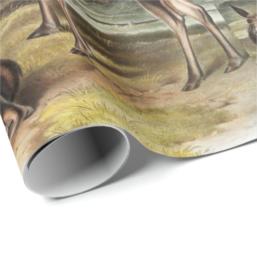 Illustratie Moose Deer (Servus alces) Cadeaupapier (Rol Hoek)