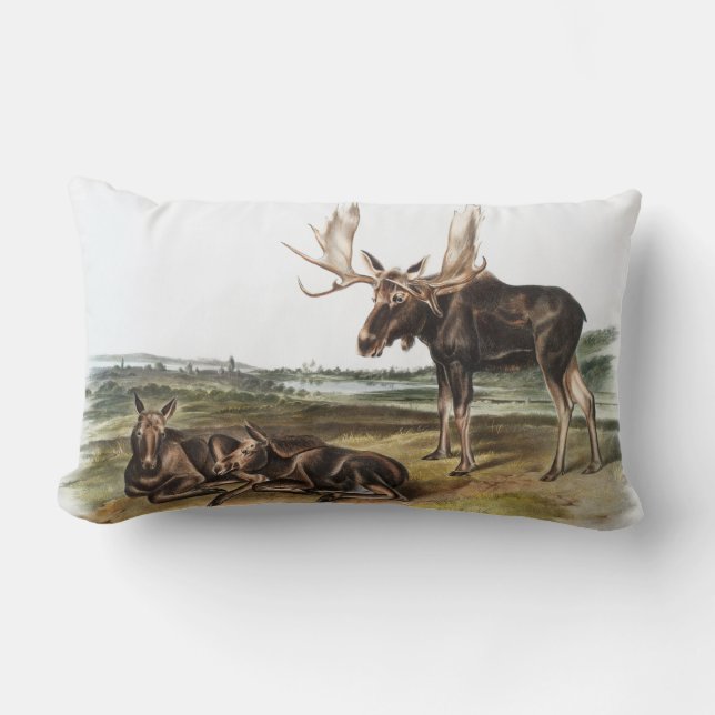Illustratie Moose Deer (Servus alces) Kussen (Voorkant)
